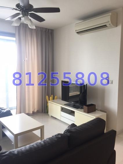 D' Chateau @ Shelford (D11), Apartment #72584251